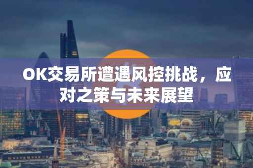 OK交易所遭遇风控挑战，应对之策与未来展望