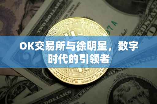 OK交易所与徐明星，数字时代的引领者