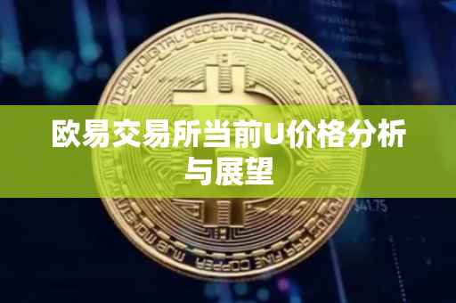 欧易交易所当前U价格分析与展望
