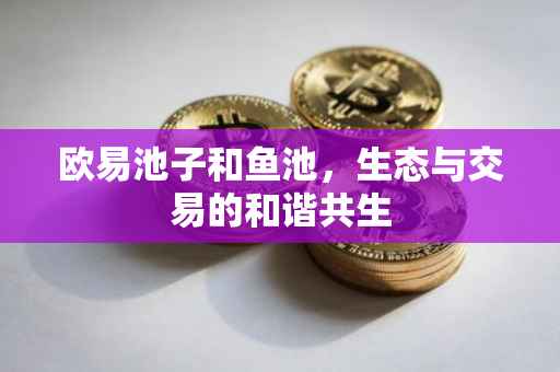欧易池子和鱼池，生态与交易的和谐共生