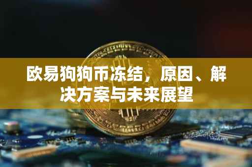 欧易狗狗币冻结，原因、解决方案与未来展望