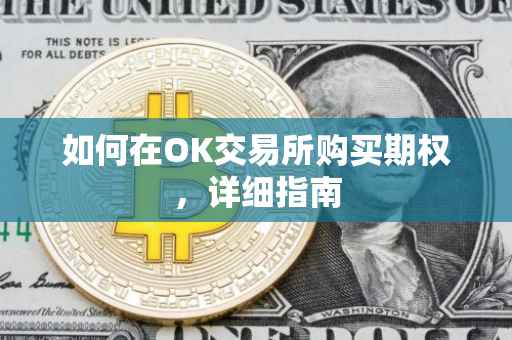 如何在OK交易所购买期权，详细指南