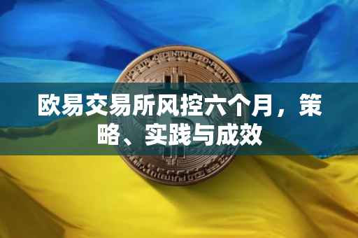 欧易交易所风控六个月，策略、实践与成效
