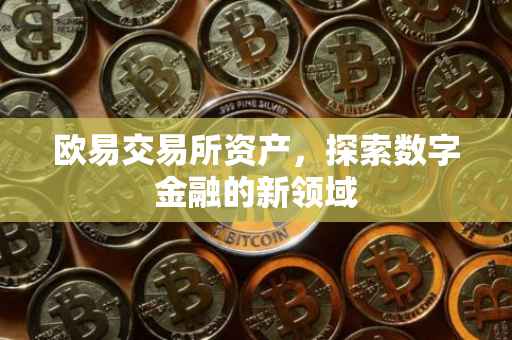 欧易交易所资产，探索数字金融的新领域