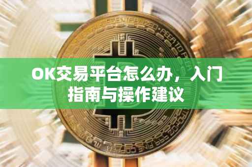 OK交易平台怎么办，入门指南与操作建议