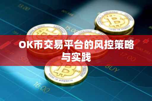 OK币交易平台的风控策略与实践