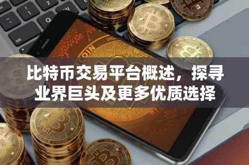 比特币交易平台概述，探寻业界巨头及更多优质选择