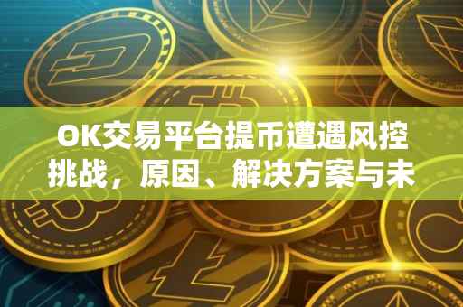 OK交易平台提币遭遇风控挑战，原因、解决方案与未来展望