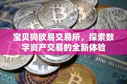 宝贝狗欧易交易所，探索数字资产交易的全新体验