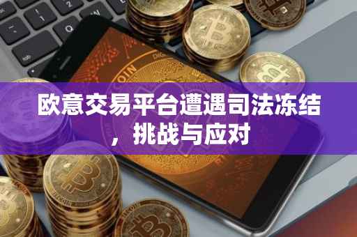 欧意交易平台遭遇司法冻结，挑战与应对