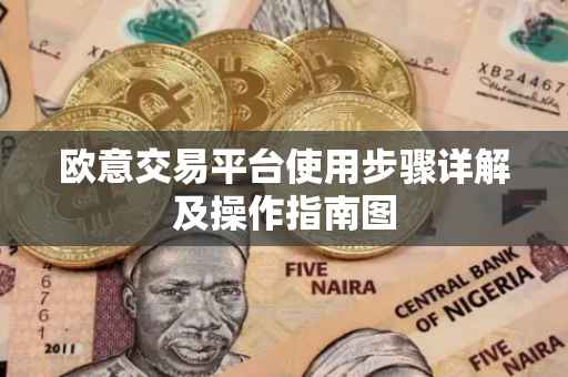 欧意交易平台使用步骤详解及操作指南图