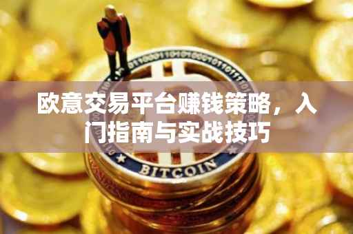 欧意交易平台赚钱策略，入门指南与实战技巧