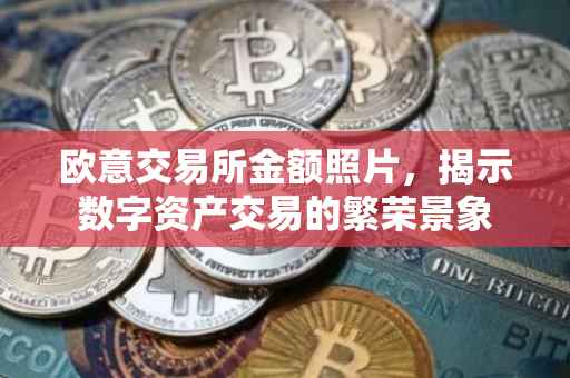 欧意交易所金额照片，揭示数字资产交易的繁荣景象