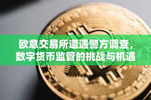 欧意交易所遭遇警方调查，数字货币监管的挑战与机遇