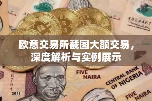 欧意交易所截图大额交易，深度解析与实例展示