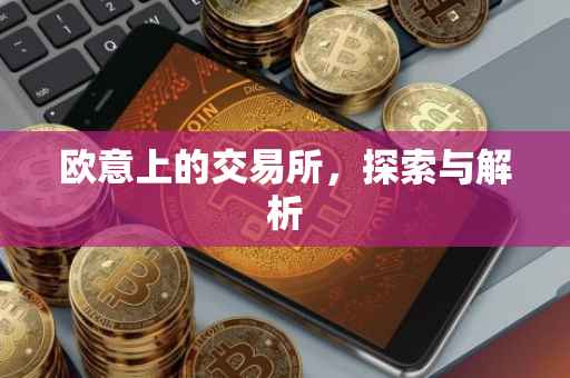 欧意上的交易所，探索与解析
