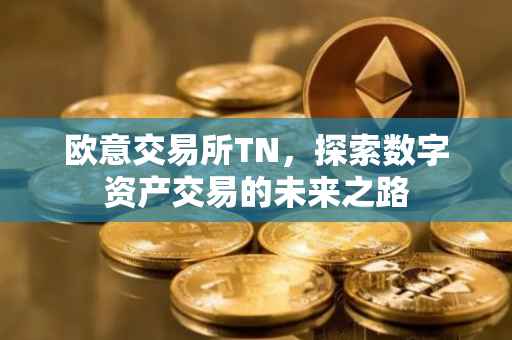 欧意交易所TN，探索数字资产交易的未来之路