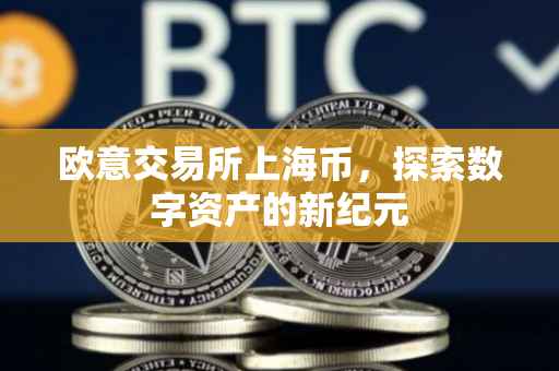 欧意交易所上海币，探索数字资产的新纪元
