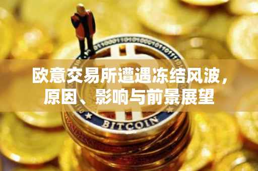 欧意交易所遭遇冻结风波，原因、影响与前景展望