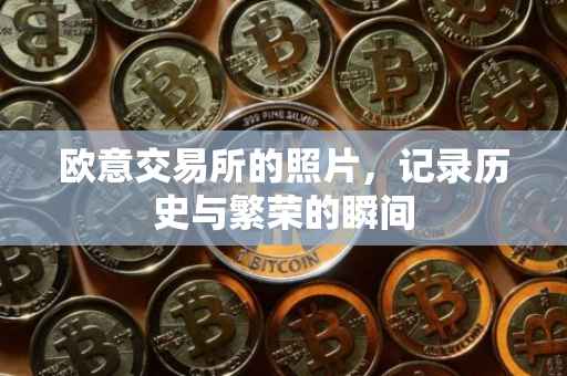 欧意交易所的照片，记录历史与繁荣的瞬间