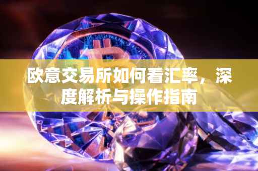 欧意交易所如何看汇率，深度解析与操作指南