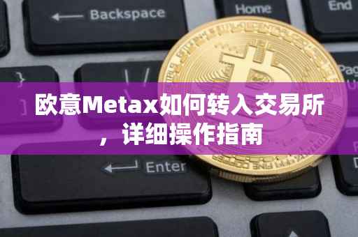 欧意Metax如何转入交易所，详细操作指南