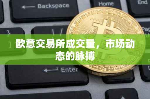 欧意交易所成交量，市场动态的脉搏