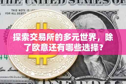 探索交易所的多元世界，除了欧意还有哪些选择？