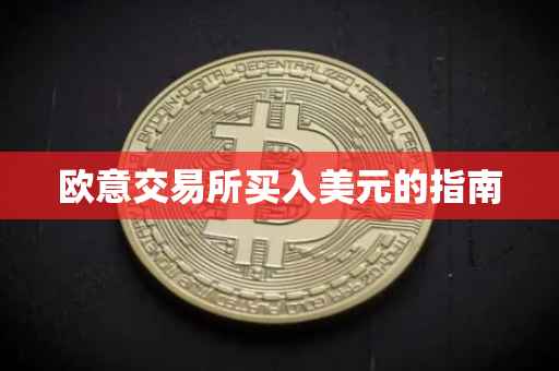 欧意交易所买入美元的指南