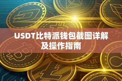 USDT比特派钱包截图详解及操作指南