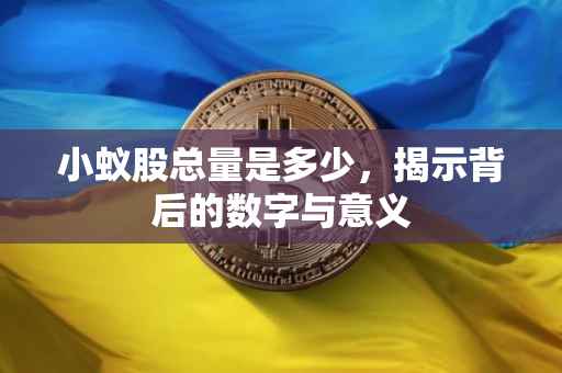 小蚁股总量是多少，揭示背后的数字与意义