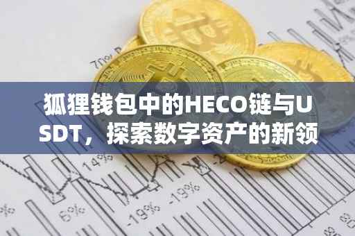 狐狸钱包中的HECO链与USDT，探索数字资产的新领域
