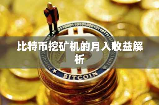 比特币挖矿机的月入收益解析