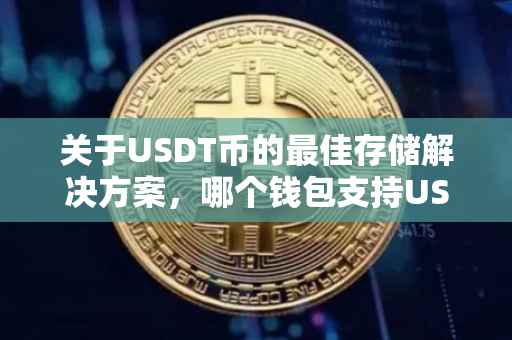 关于USDT币的最佳存储解决方案，哪个钱包支持USDT币？
