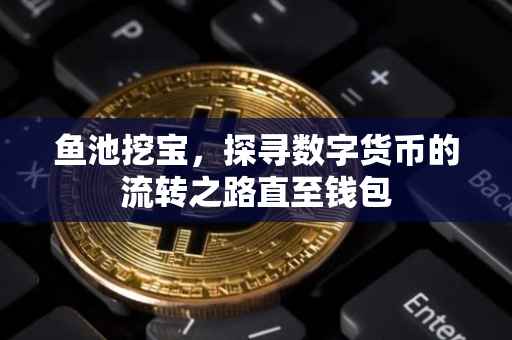鱼池挖宝，探寻数字货币的流转之路直至钱包