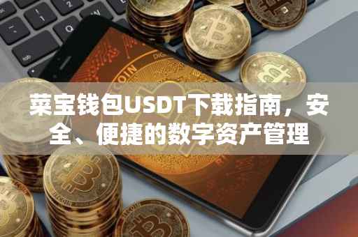 菜宝钱包USDT下载指南，安全、便捷的数字资产管理