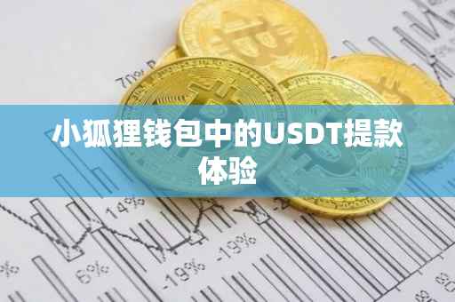 小狐狸钱包中的USDT提款体验