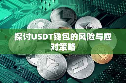 探讨USDT钱包的风险与应对策略