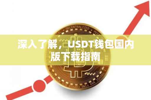 深入了解，USDT钱包国内版下载指南