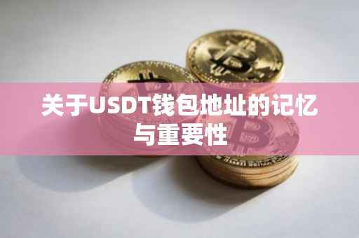 关于USDT钱包地址的记忆与重要性