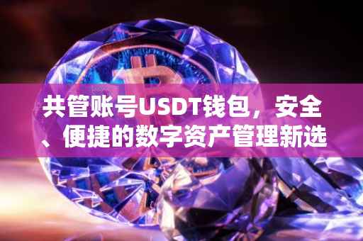 共管账号USDT钱包，安全、便捷的数字资产管理新选择