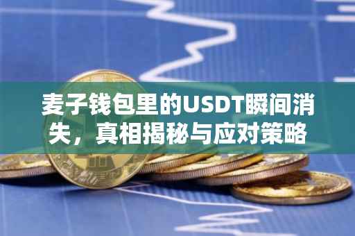麦子钱包里的USDT瞬间消失，真相揭秘与应对策略