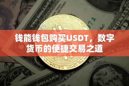 钱能钱包购买USDT，数字货币的便捷交易之道