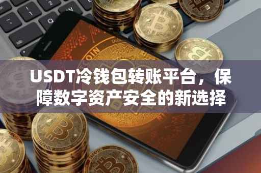 USDT冷钱包转账平台，保障数字资产安全的新选择