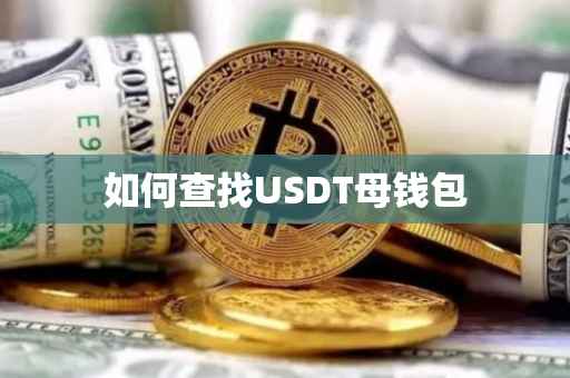如何查找USDT母钱包