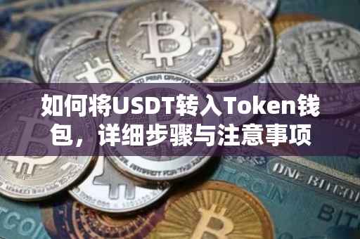 如何将USDT转入Token钱包，详细步骤与注意事项