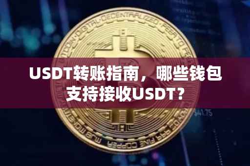 USDT转账指南，哪些钱包支持接收USDT？