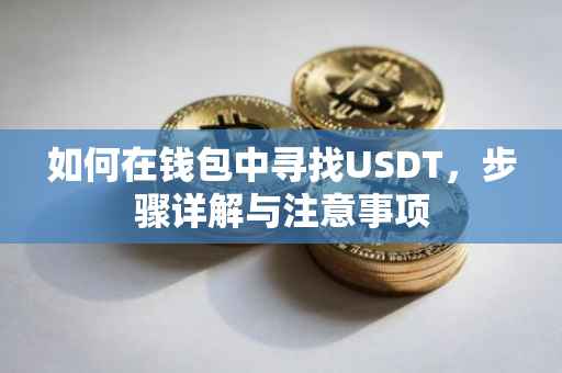 如何在钱包中寻找USDT，步骤详解与注意事项