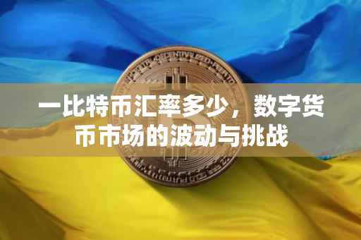 一比特币汇率多少，数字货币市场的波动与挑战