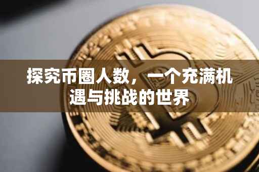 探究币圈人数，一个充满机遇与挑战的世界